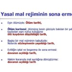 Screenshot_14